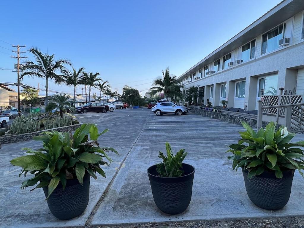 Unit 19 Maui Ohana Modern Studio Wailuku Ngoại thất bức ảnh