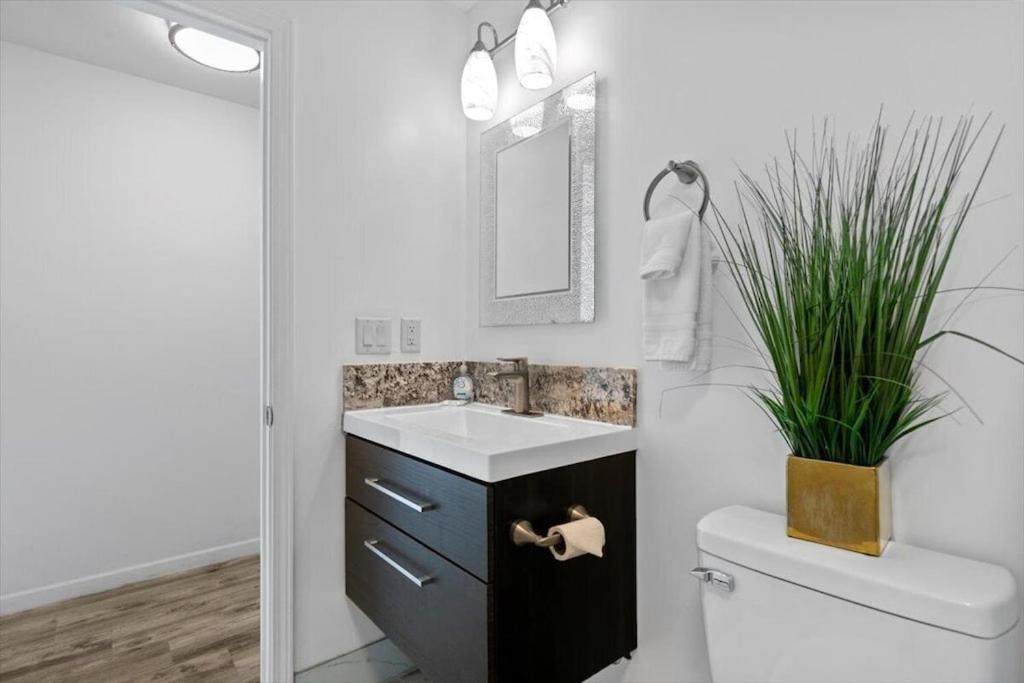Unit 19 Maui Ohana Modern Studio Wailuku Ngoại thất bức ảnh