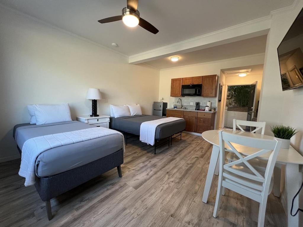 Unit 19 Maui Ohana Modern Studio Wailuku Ngoại thất bức ảnh