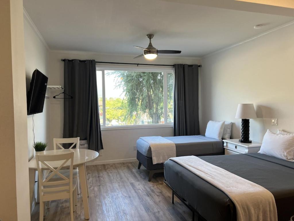 Unit 19 Maui Ohana Modern Studio Wailuku Ngoại thất bức ảnh
